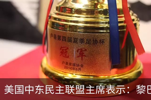 美国中东民主联盟主席表示：黎巴嫩人民希望与以色列建交、清除真主党势力